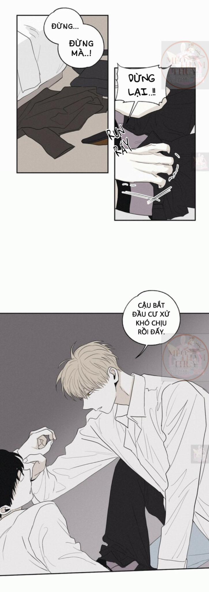 Chiếu Tướng 5 trang 24