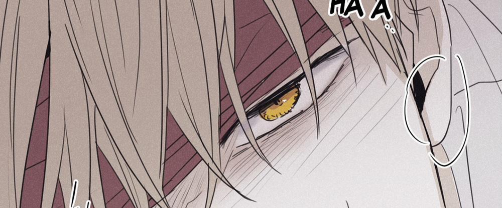 Chiếu Tướng 58 trang 230