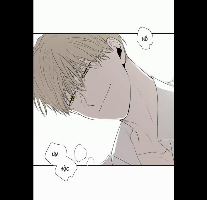 Chiếu Tướng 6 trang 11