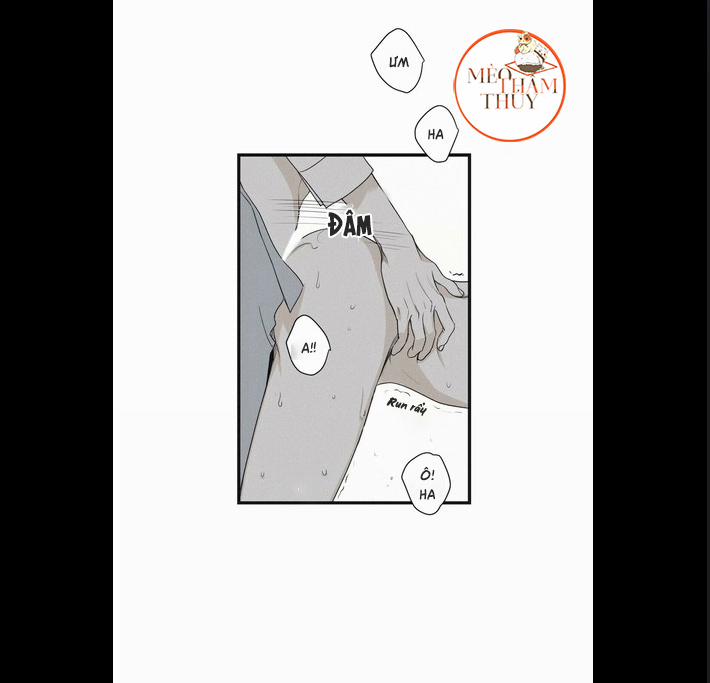 Chiếu Tướng 6 trang 4