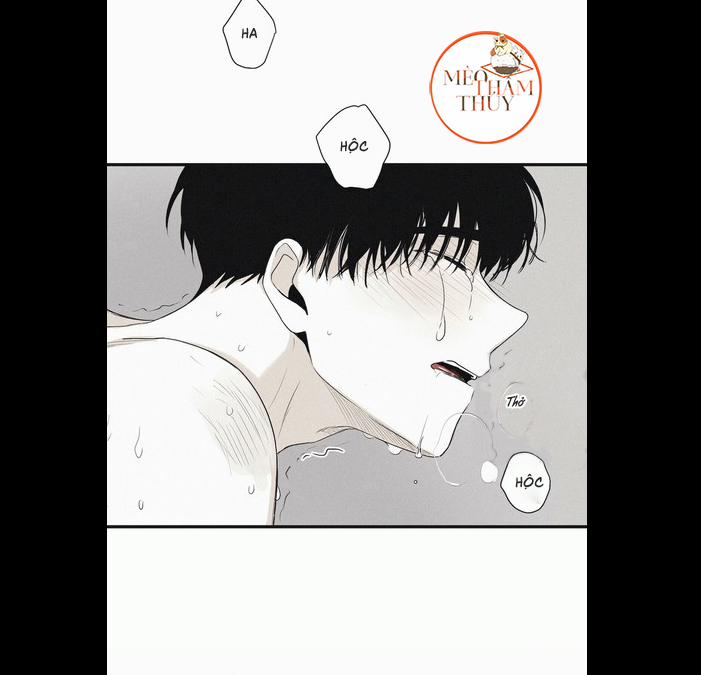 Chiếu Tướng 6 trang 6