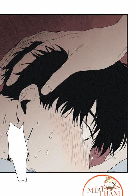 Chiếu Tướng 7 trang 5