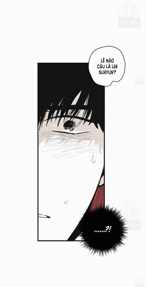 Chiếu Tướng 8 trang 14