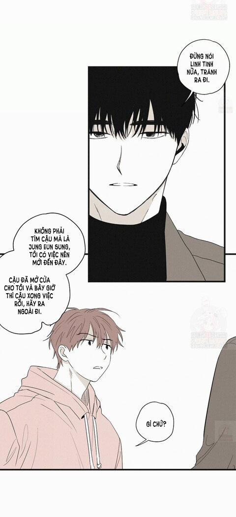 Chiếu Tướng 8 trang 21