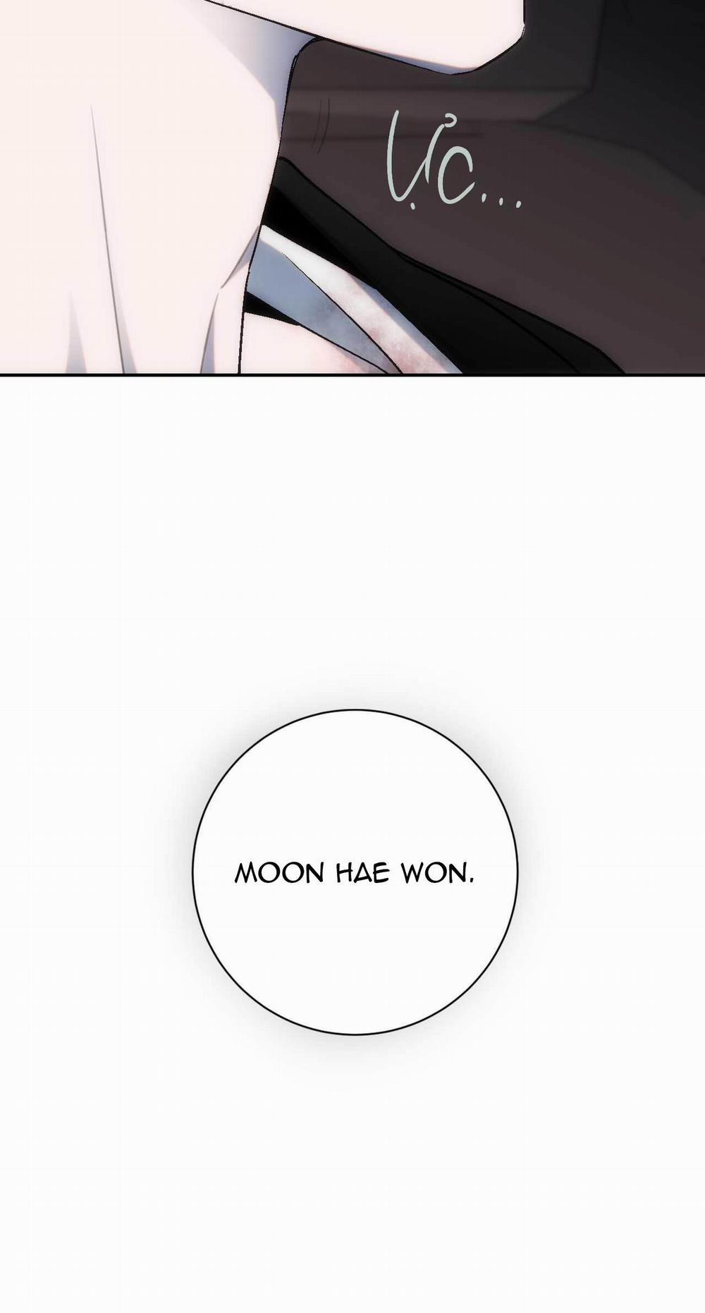 Chìm Trong Khoái Lạc 15 trang 13