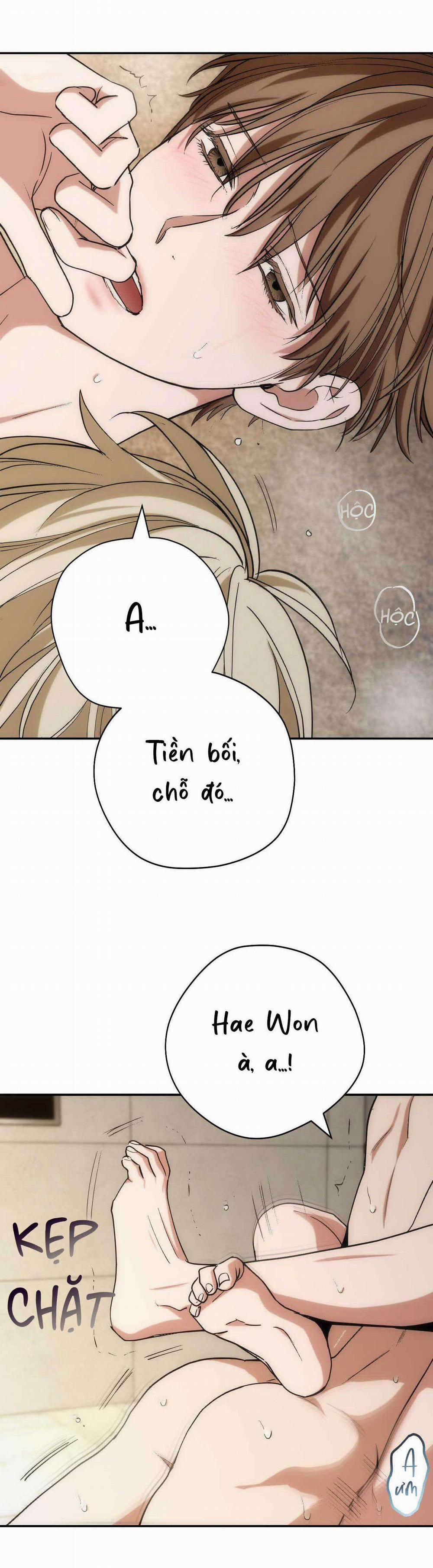 Chìm Trong Khoái Lạc 20 trang 45