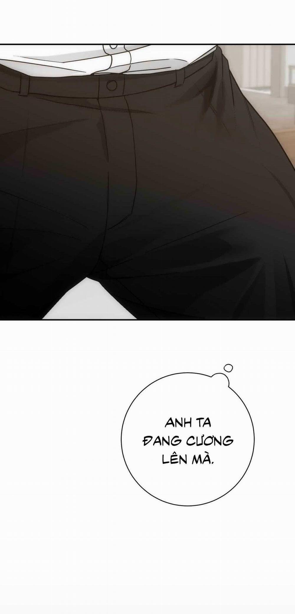 Chìm Trong Khoái Lạc 29 trang 6