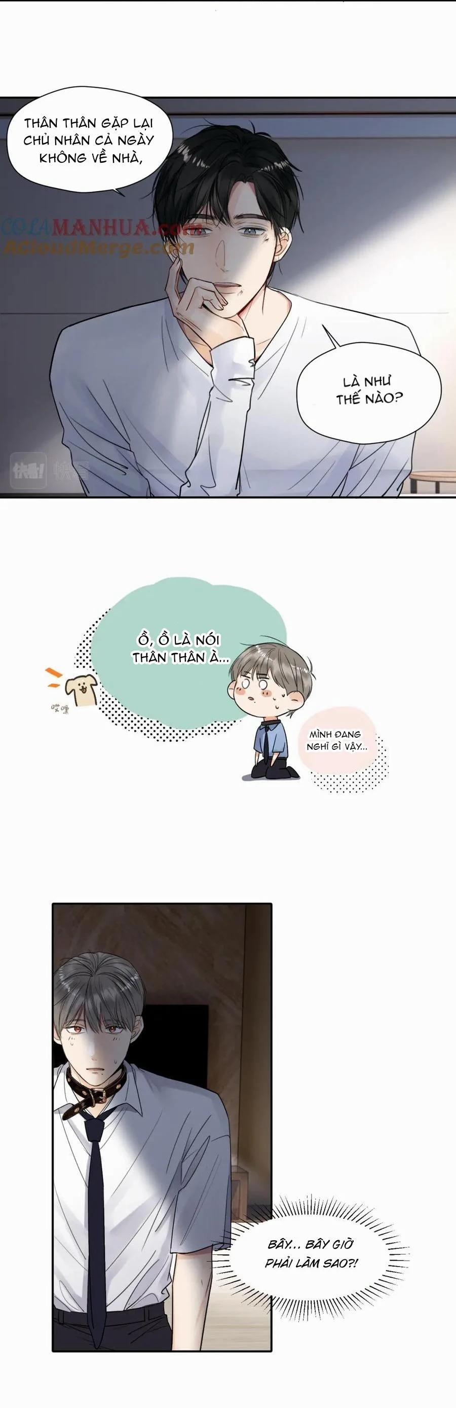 Chó Chuộc Tội 12 trang 19