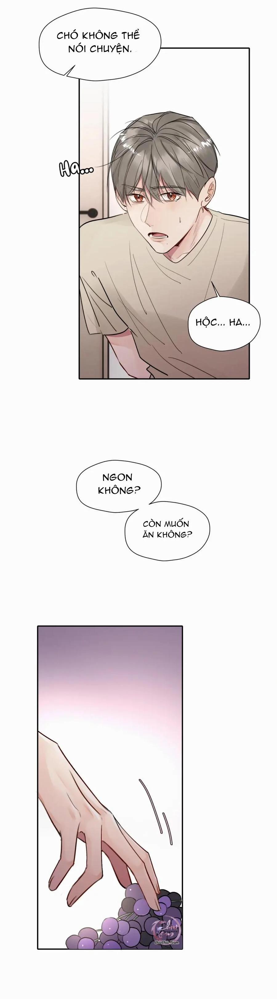 Chó Chuộc Tội 15 trang 11