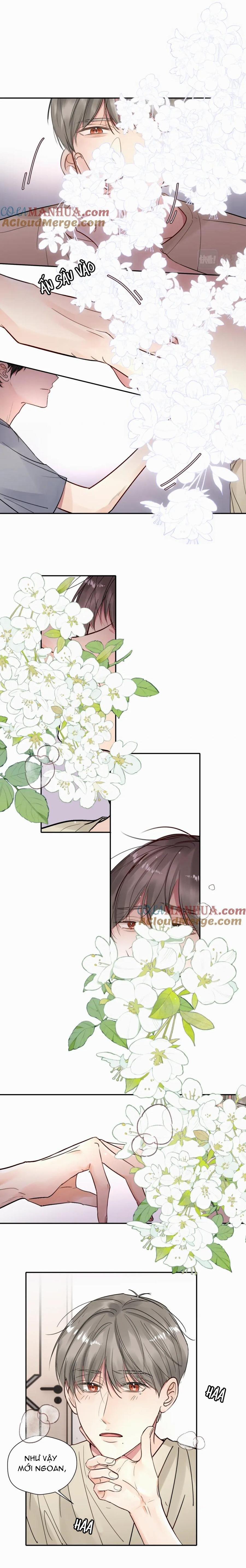 Chó Chuộc Tội 15 trang 13