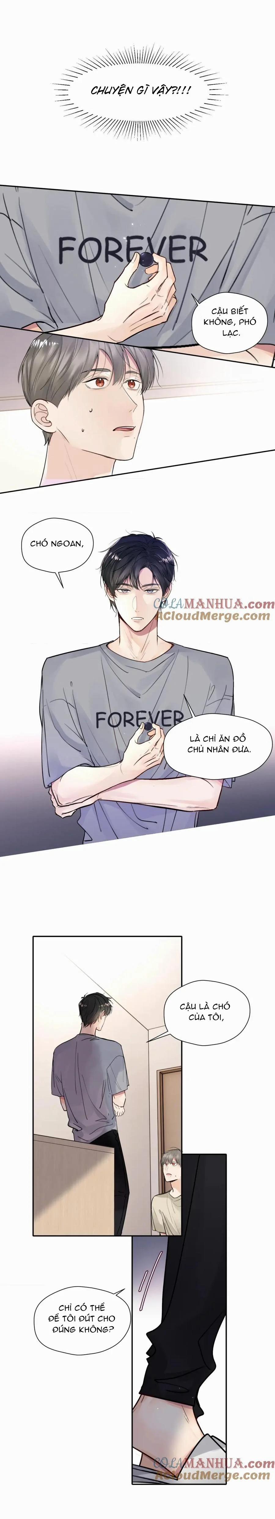 Chó Chuộc Tội 15 trang 7