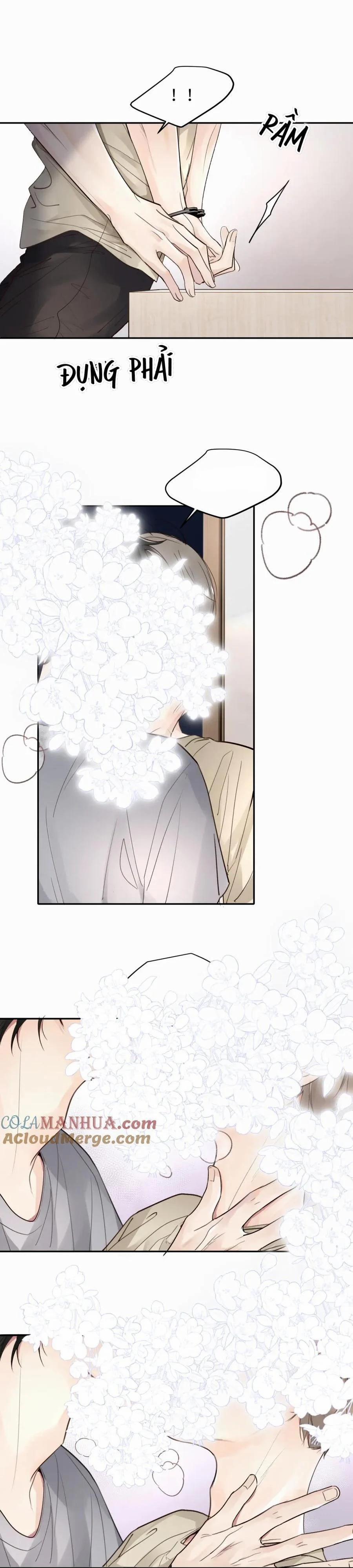 Chó Chuộc Tội 16 trang 2