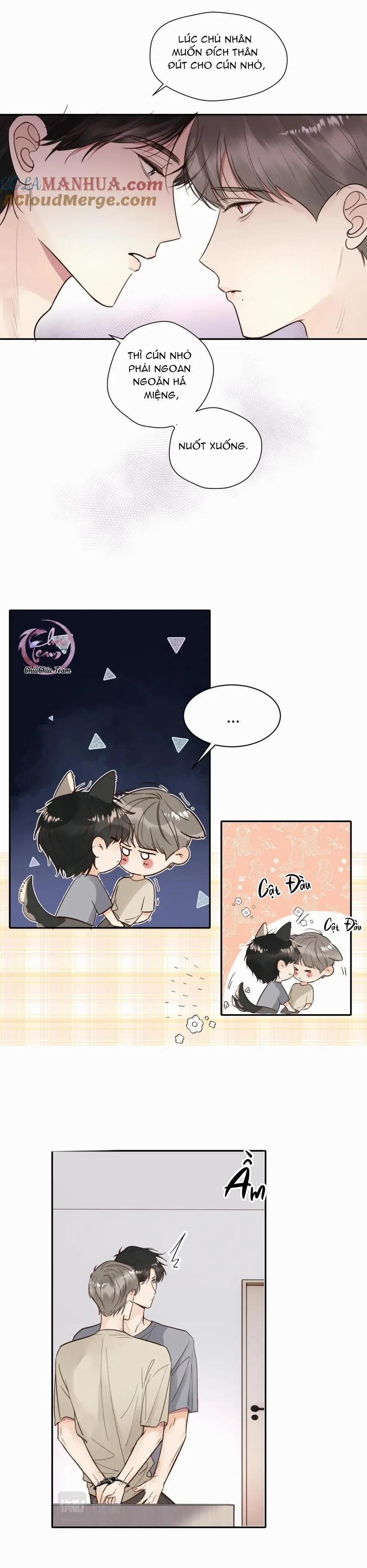 Chó Chuộc Tội 16 trang 5