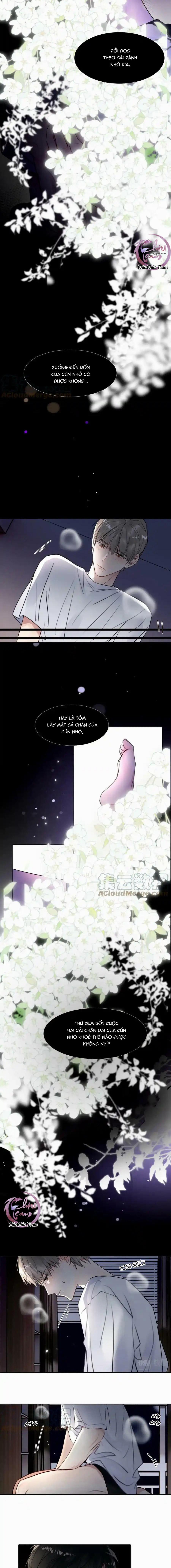 Chó Chuộc Tội 26 trang 4