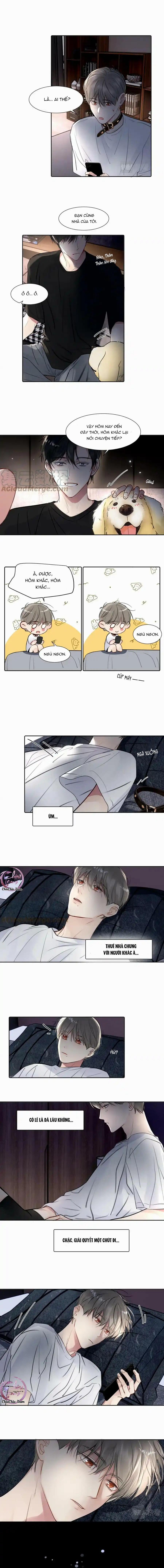 Chó Chuộc Tội 26 trang 7