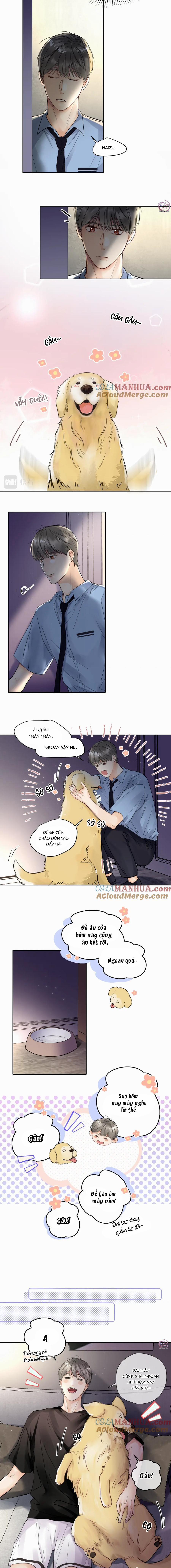 Chó Chuộc Tội 4 trang 6