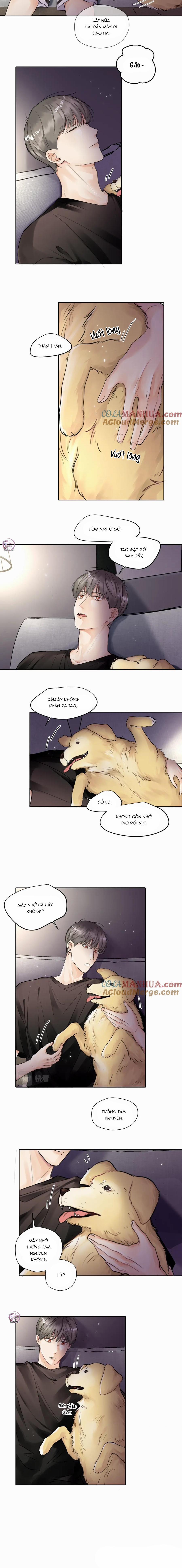 Chó Chuộc Tội 4 trang 7