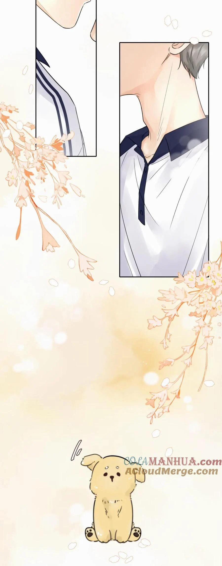 Chó Chuộc Tội 5 trang 15