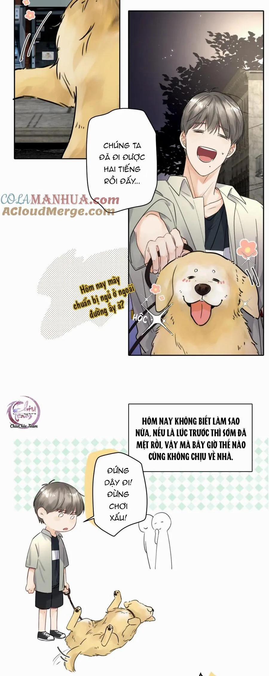 Chó Chuộc Tội 5 trang 17