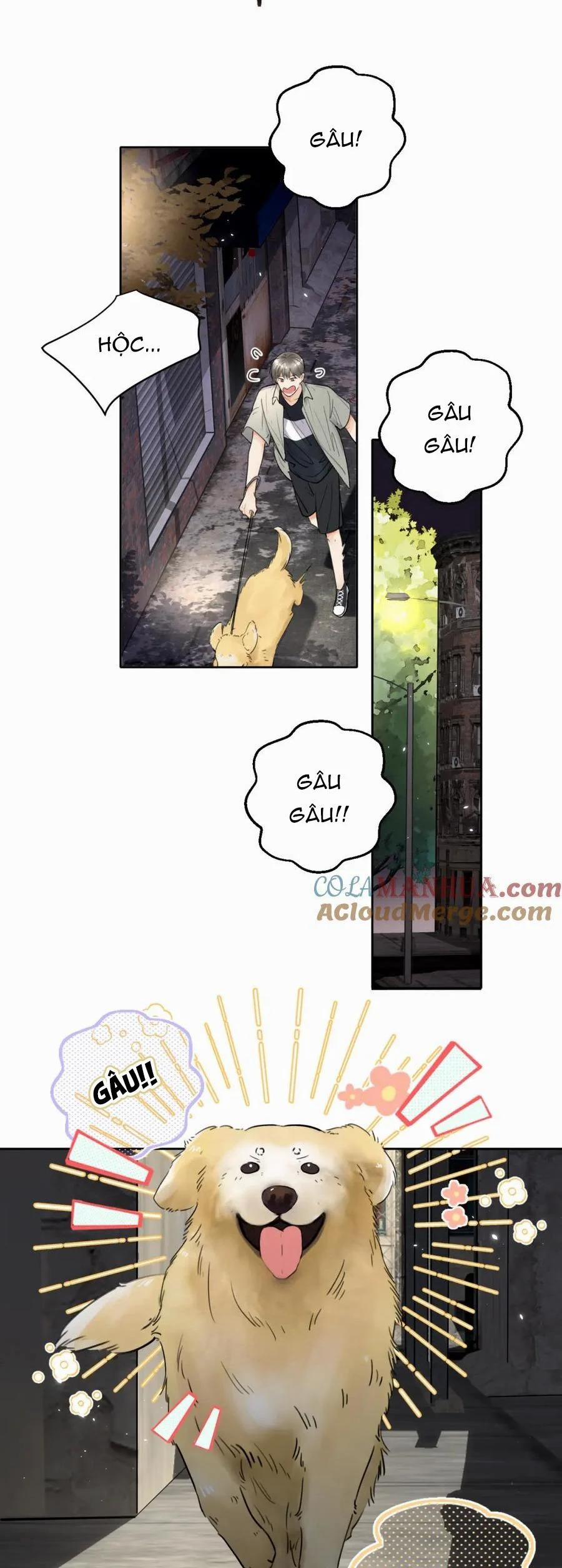 Chó Chuộc Tội 6 trang 1