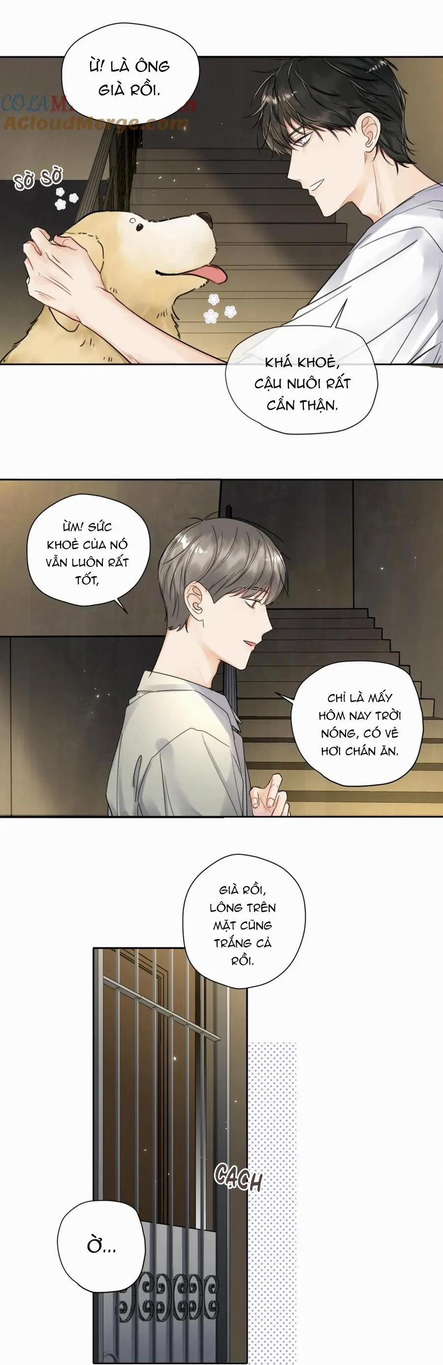 Chó Chuộc Tội 6 trang 15