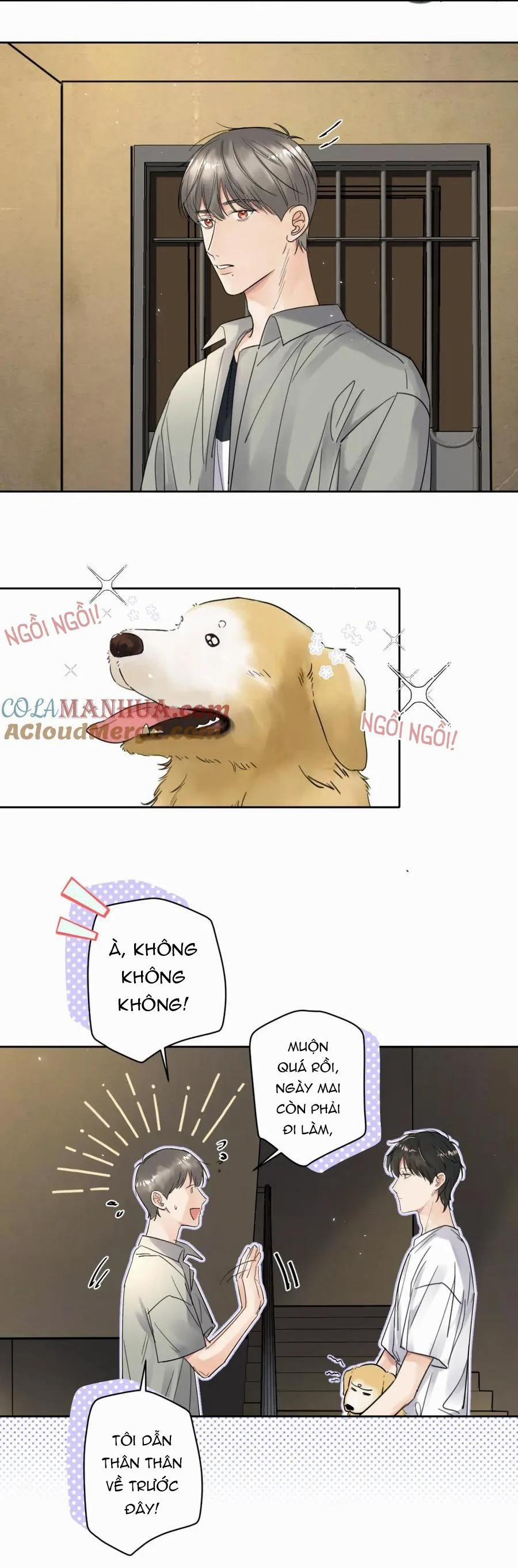 Chó Chuộc Tội 6 trang 19