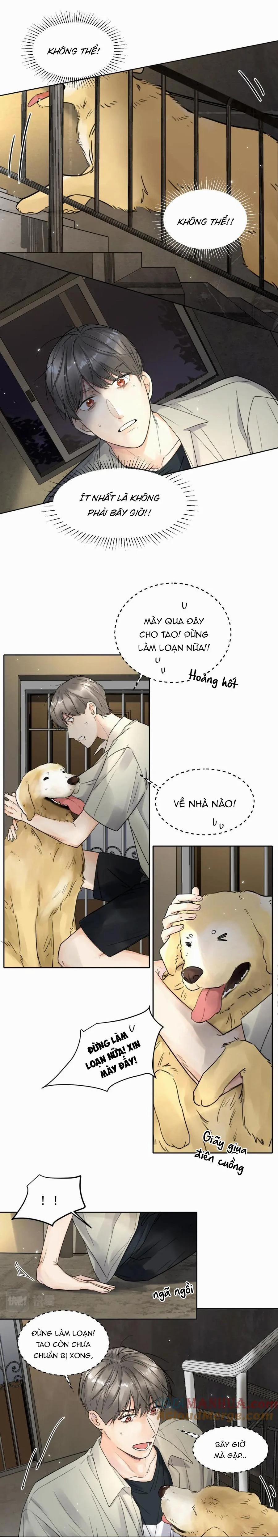 Chó Chuộc Tội 6 trang 5