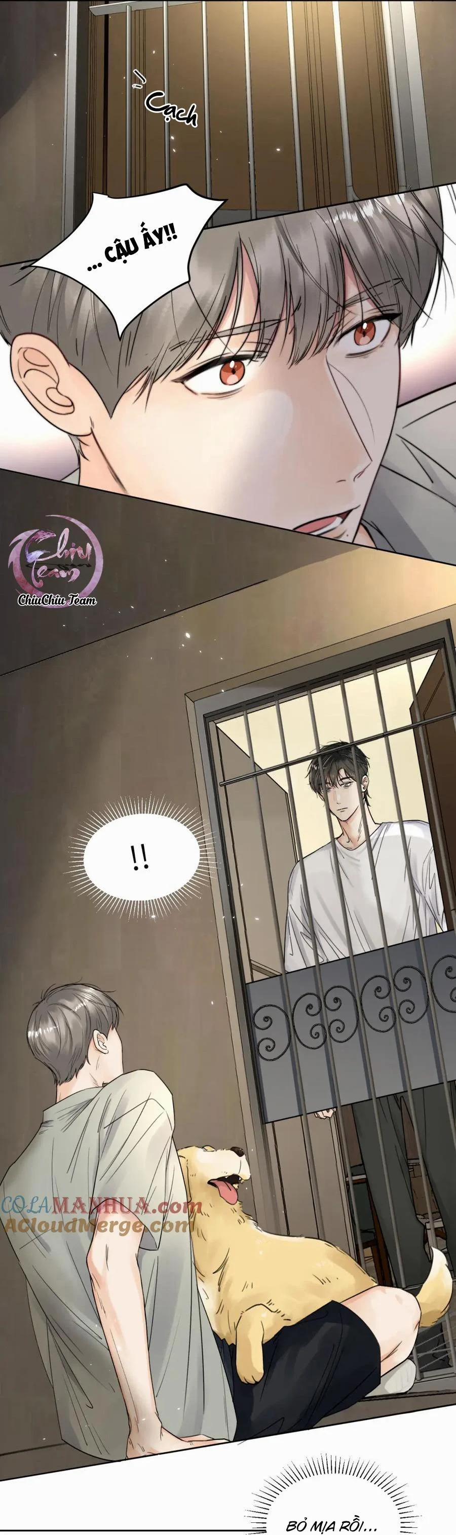 Chó Chuộc Tội 6 trang 6