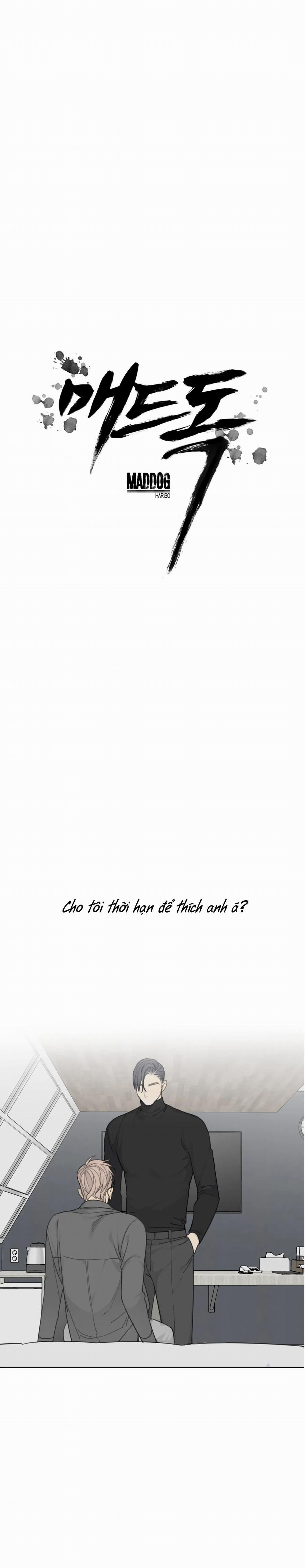 Chó Điên 16 trang 1