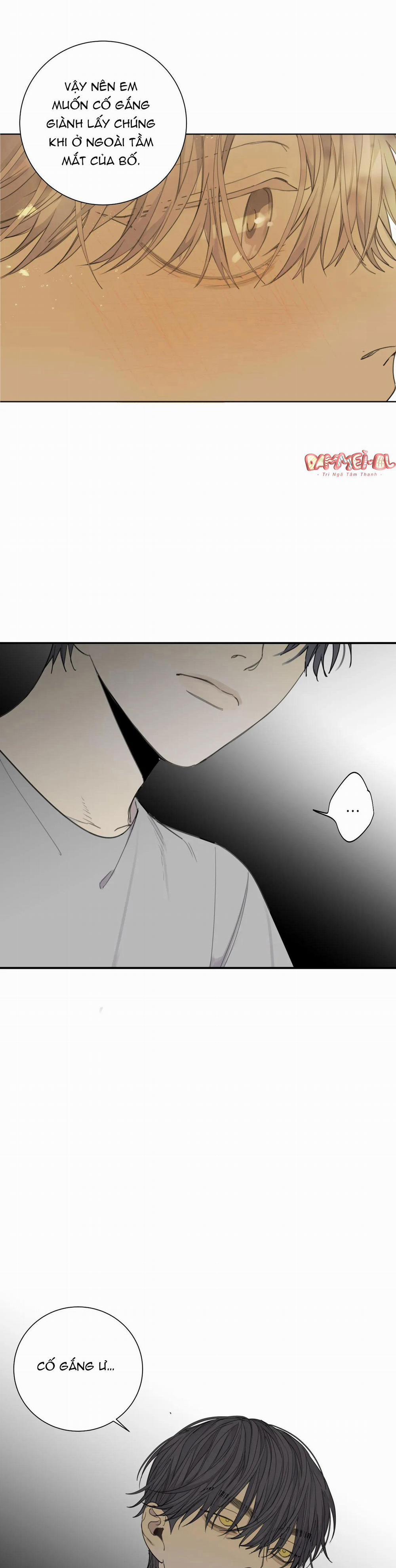 Chó Điên 31 trang 7