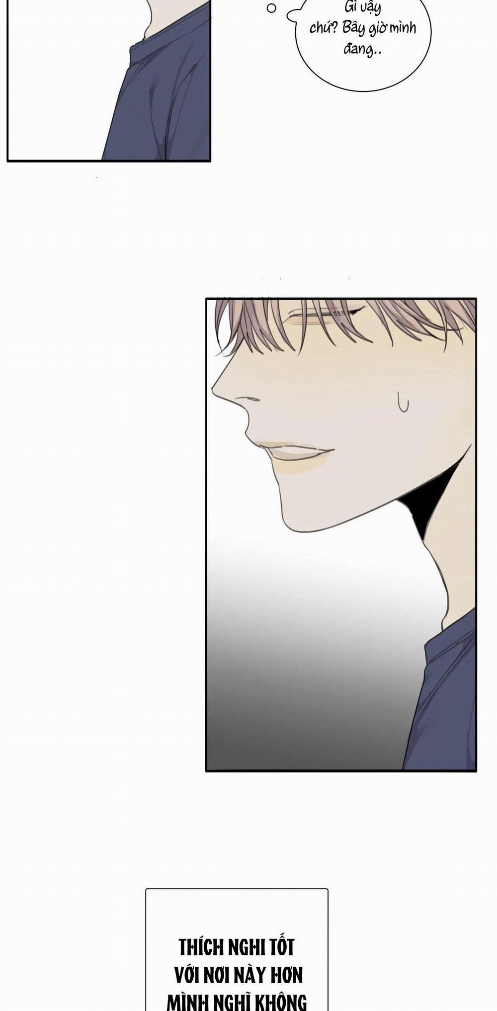 Chó Điên 34 trang 40