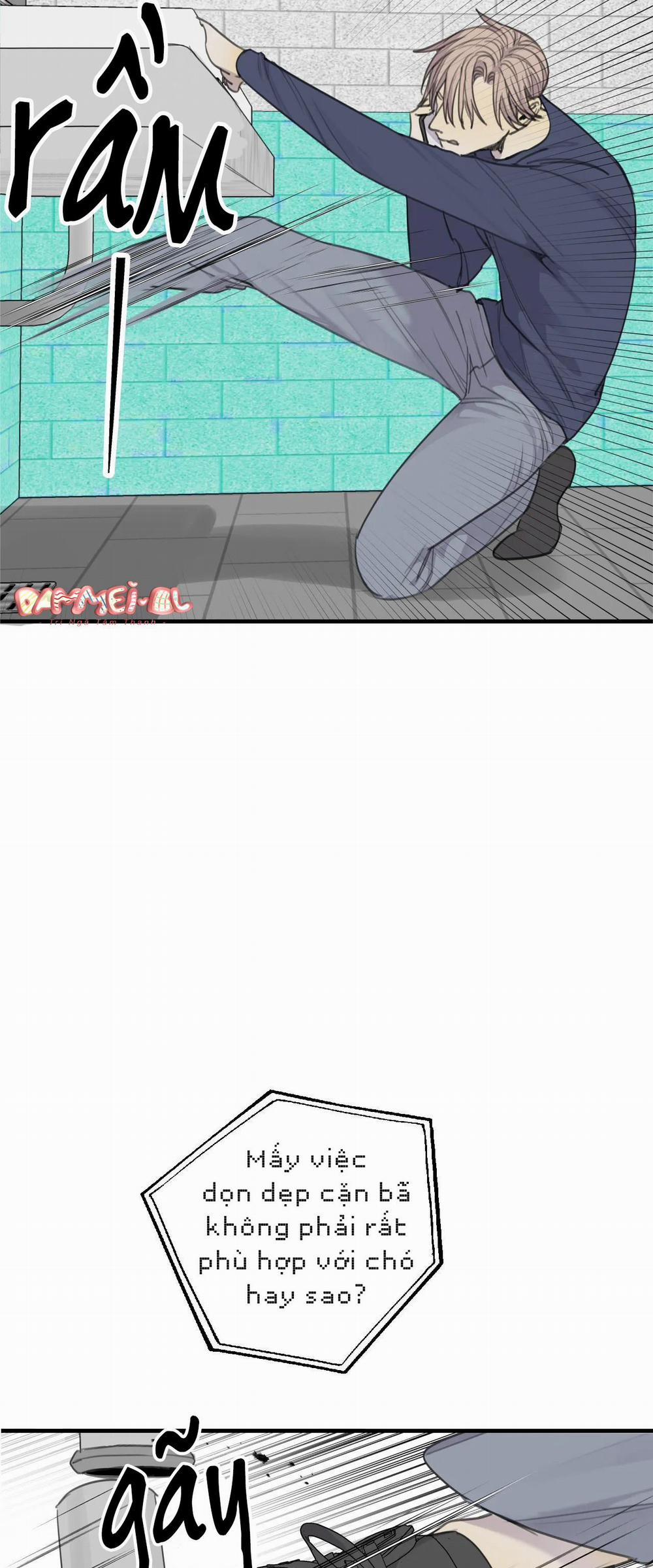 Chó Điên 37 trang 6