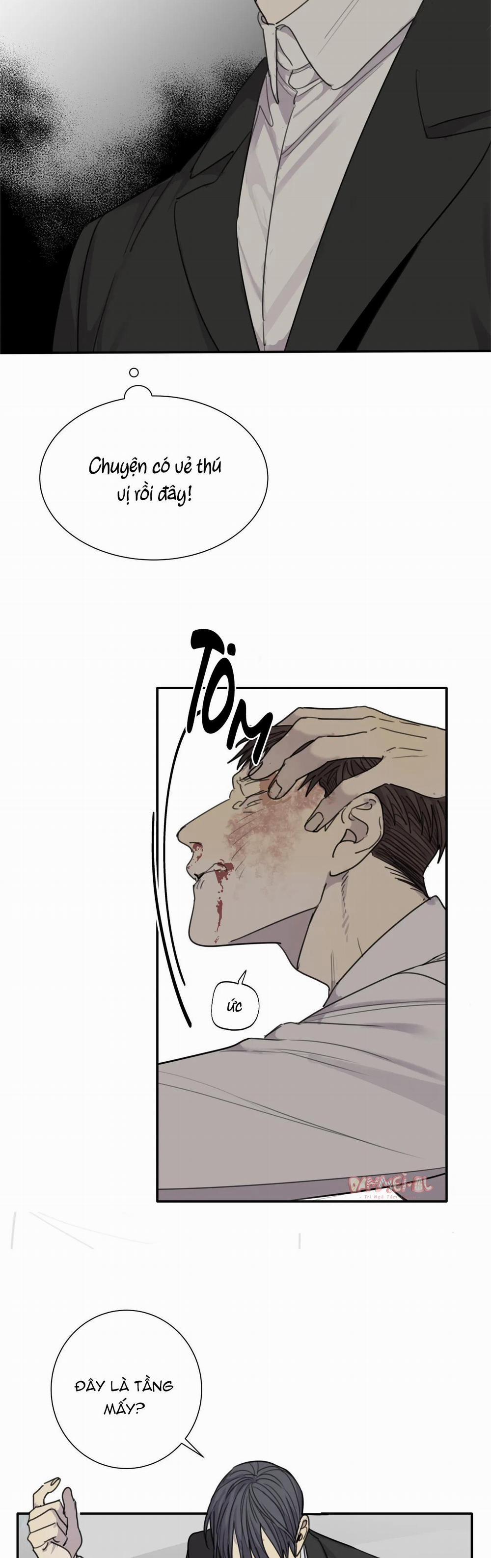 Chó Điên 43 trang 20