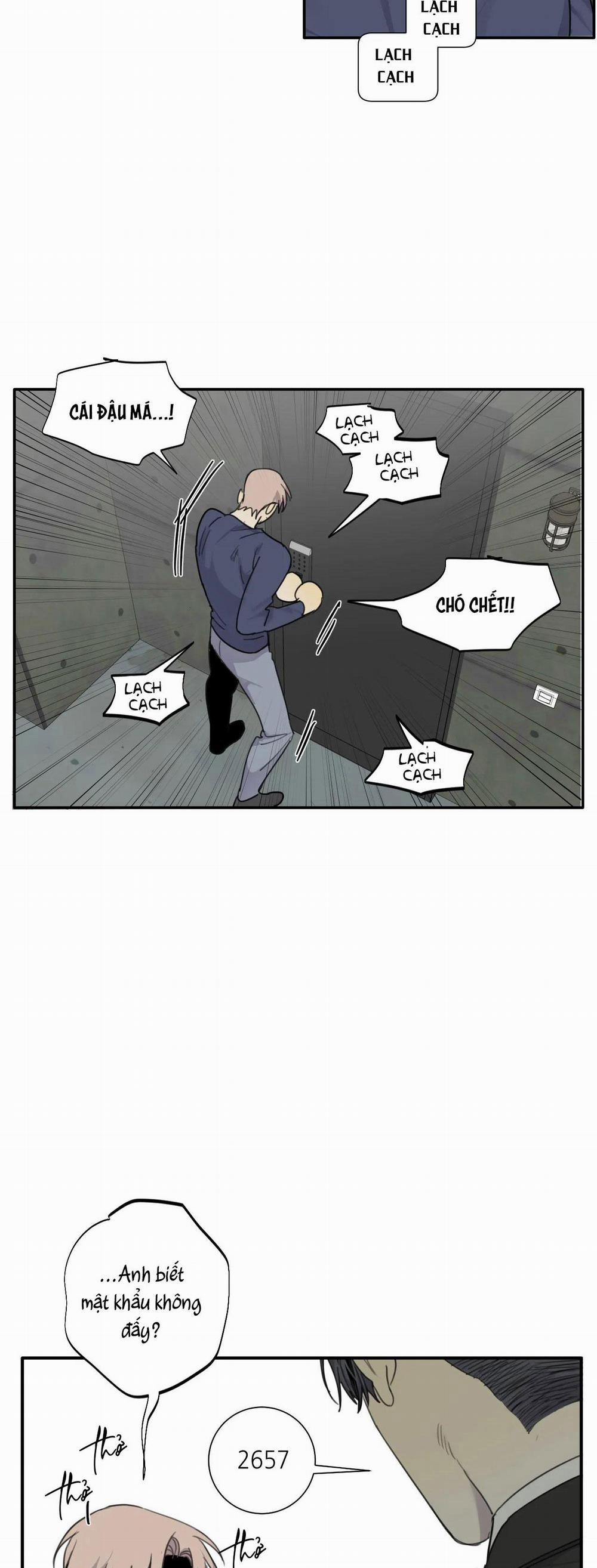 Chó Điên 46 trang 3