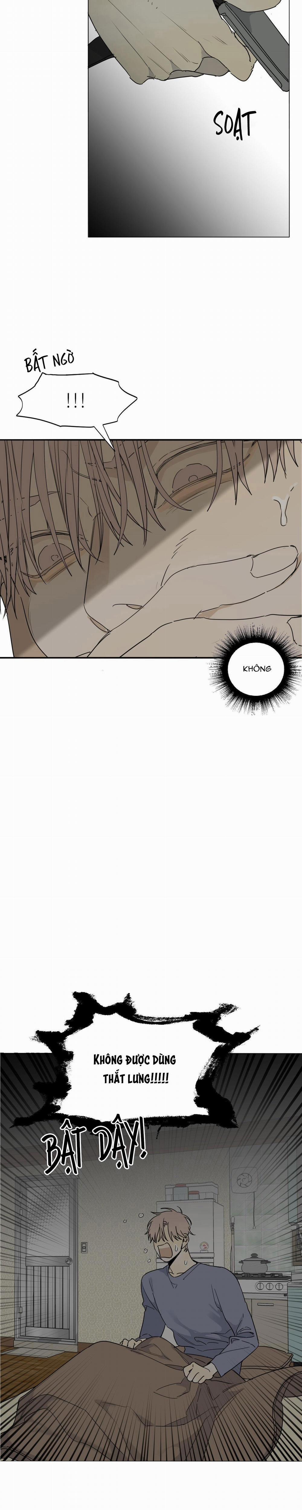 Chó Điên 56 NT5 trang 29