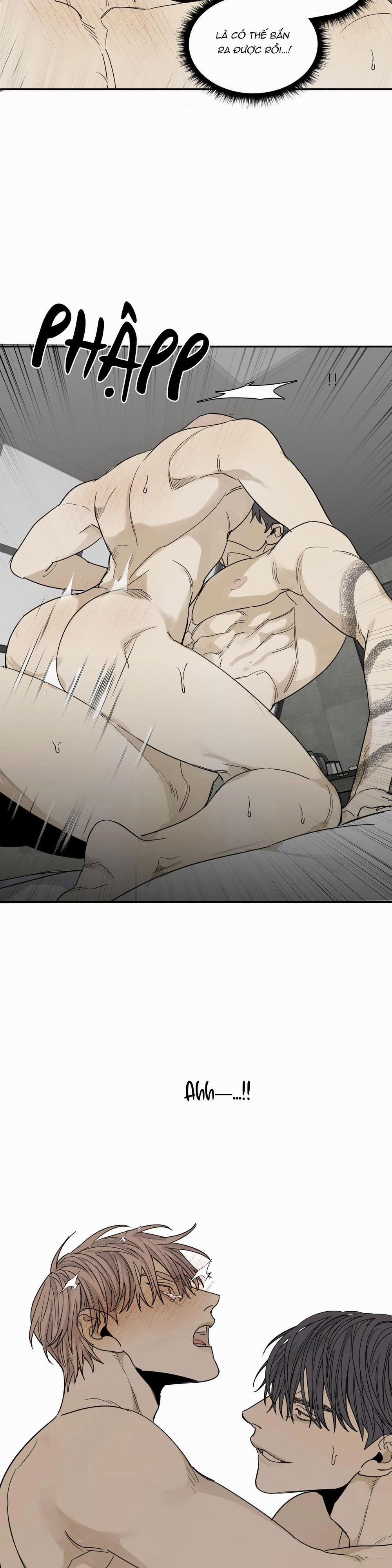 Chó Điên 62 NT11 0 0 trang 13