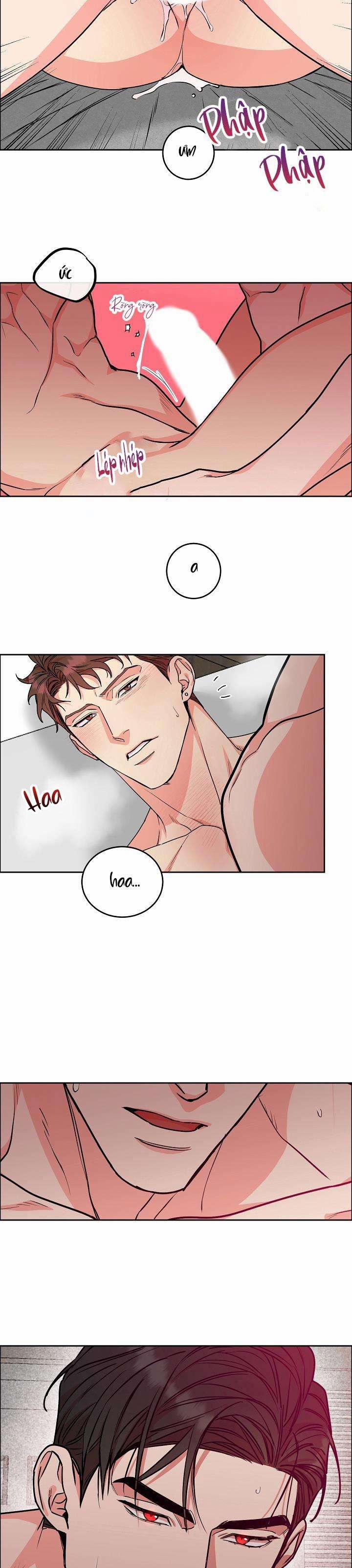 Chó Và Chim 0 H+++ trang 13