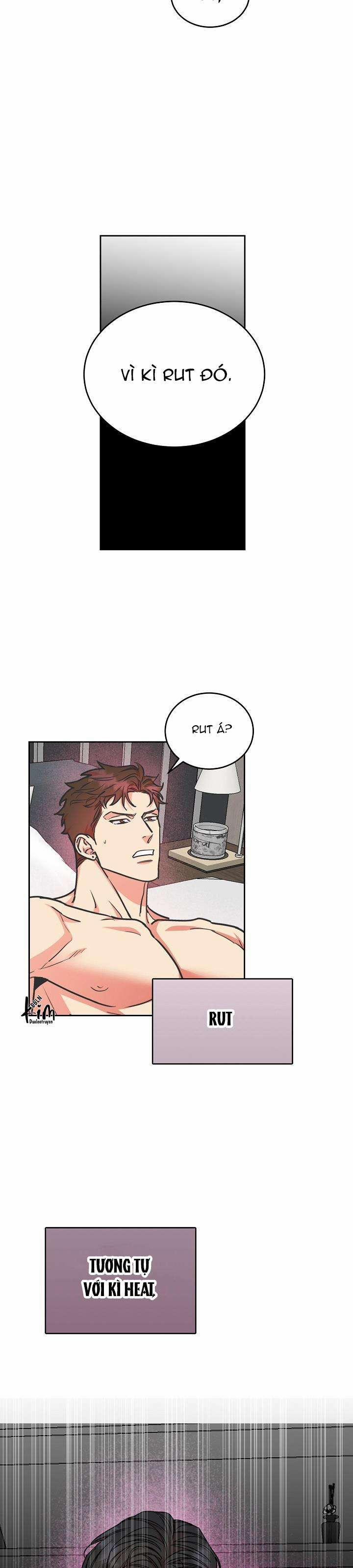 Chó Và Chim 0 H+++ trang 15