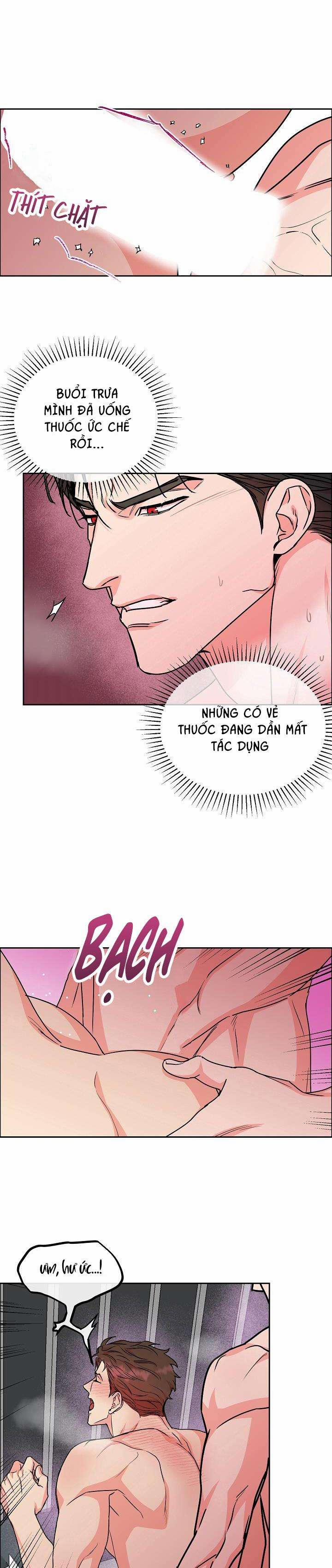 Chó Và Chim 0 H+++ trang 19