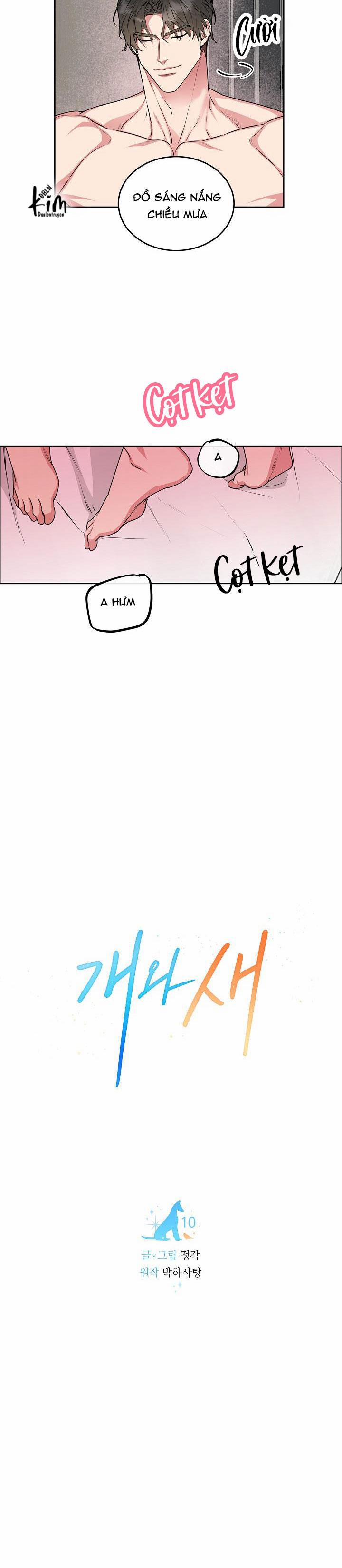 Chó Và Chim 10 HHHH trang 12