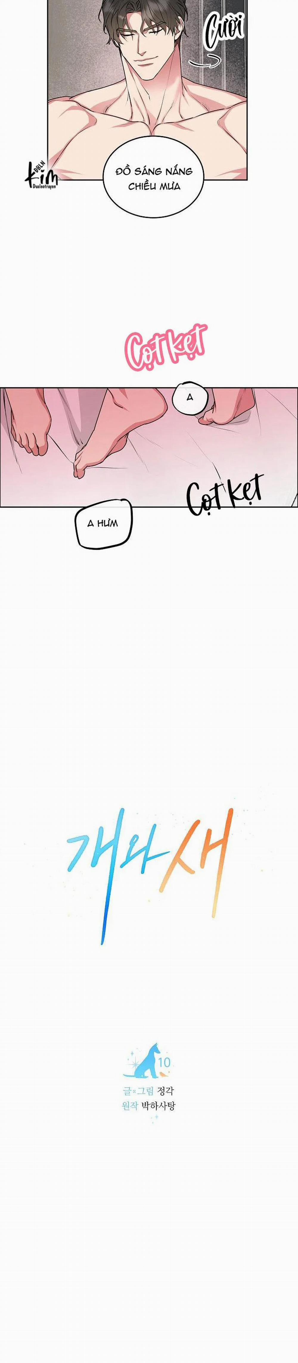 Chó Và Chim 10 trang 12