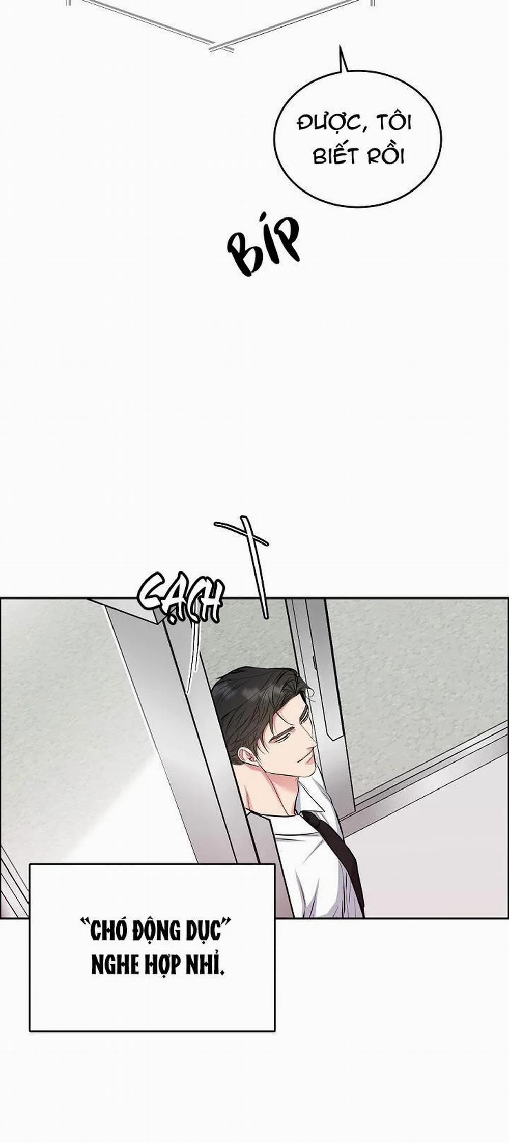 Chó Và Chim 10 trang 21