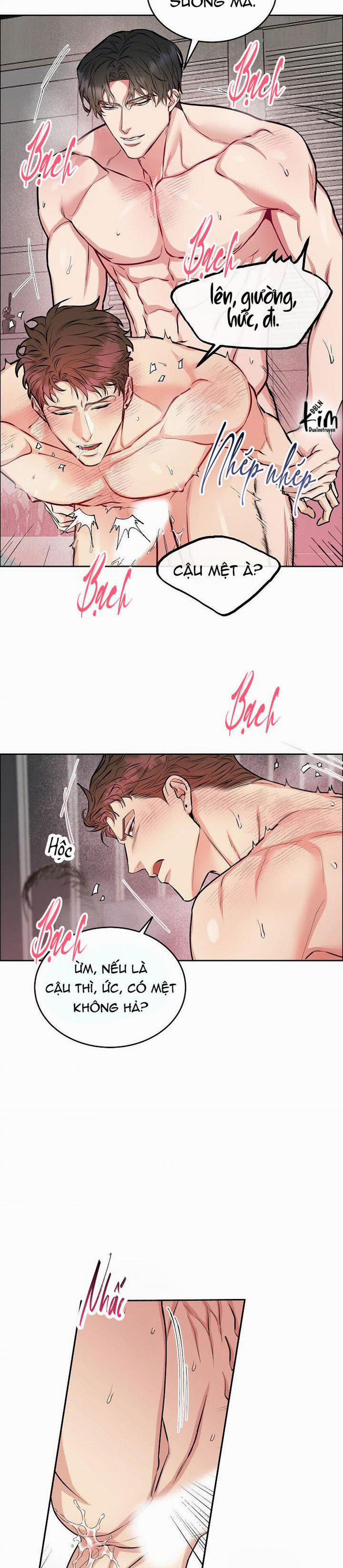 Chó Và Chim 10 trang 3