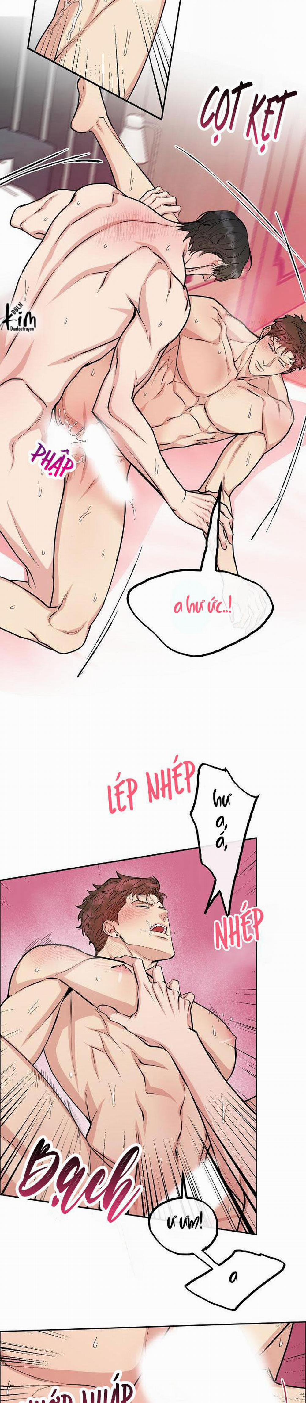 Chó Và Chim 10 trang 4