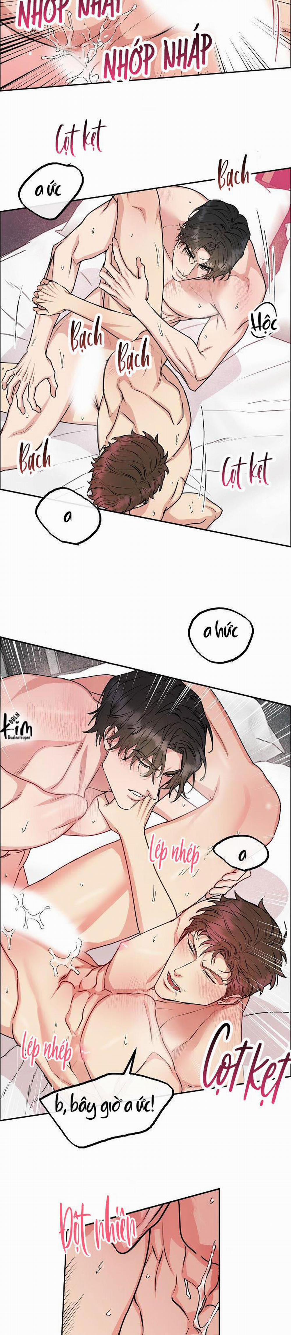 Chó Và Chim 10 trang 5