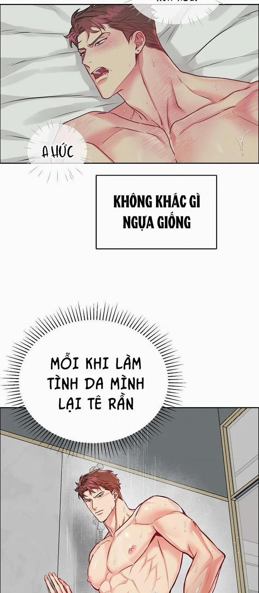 Chó Và Chim 11 trang 14