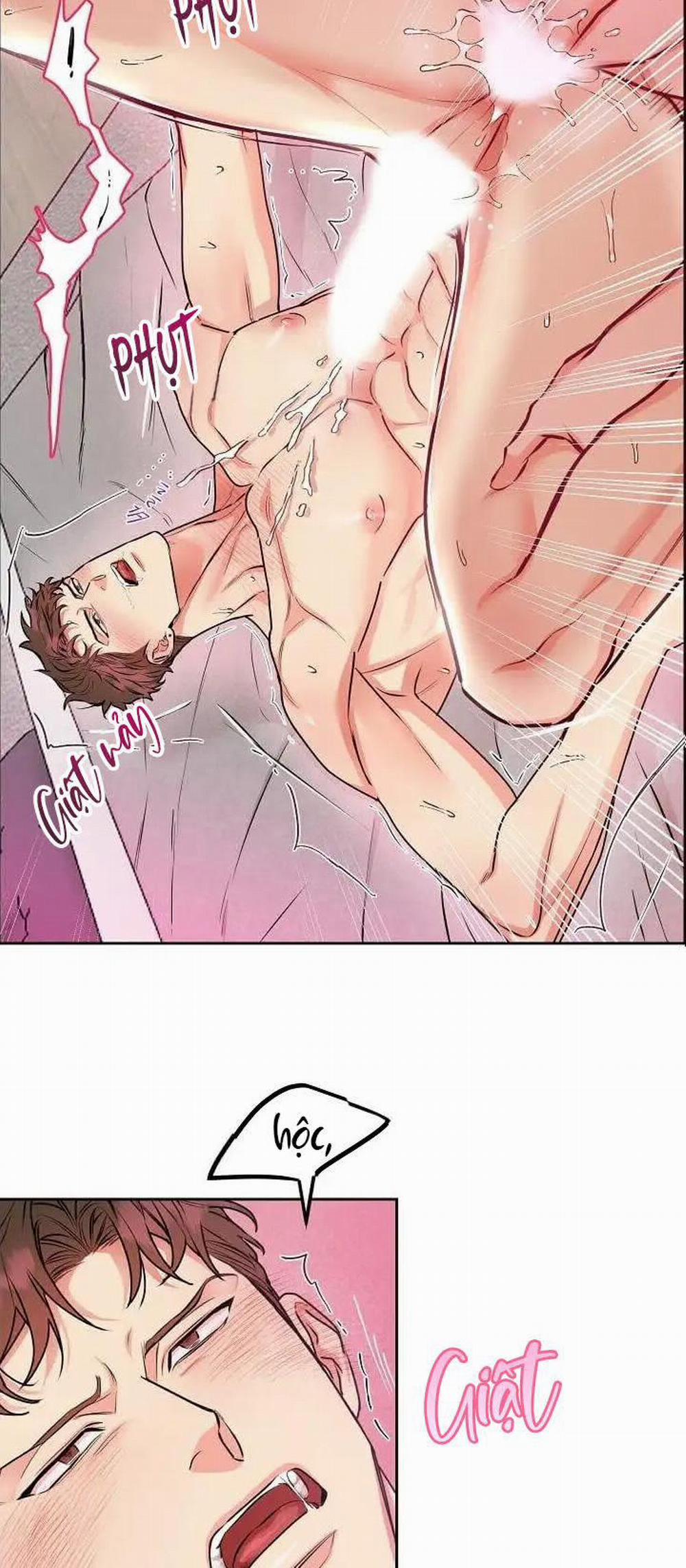 Chó Và Chim 11 trang 3