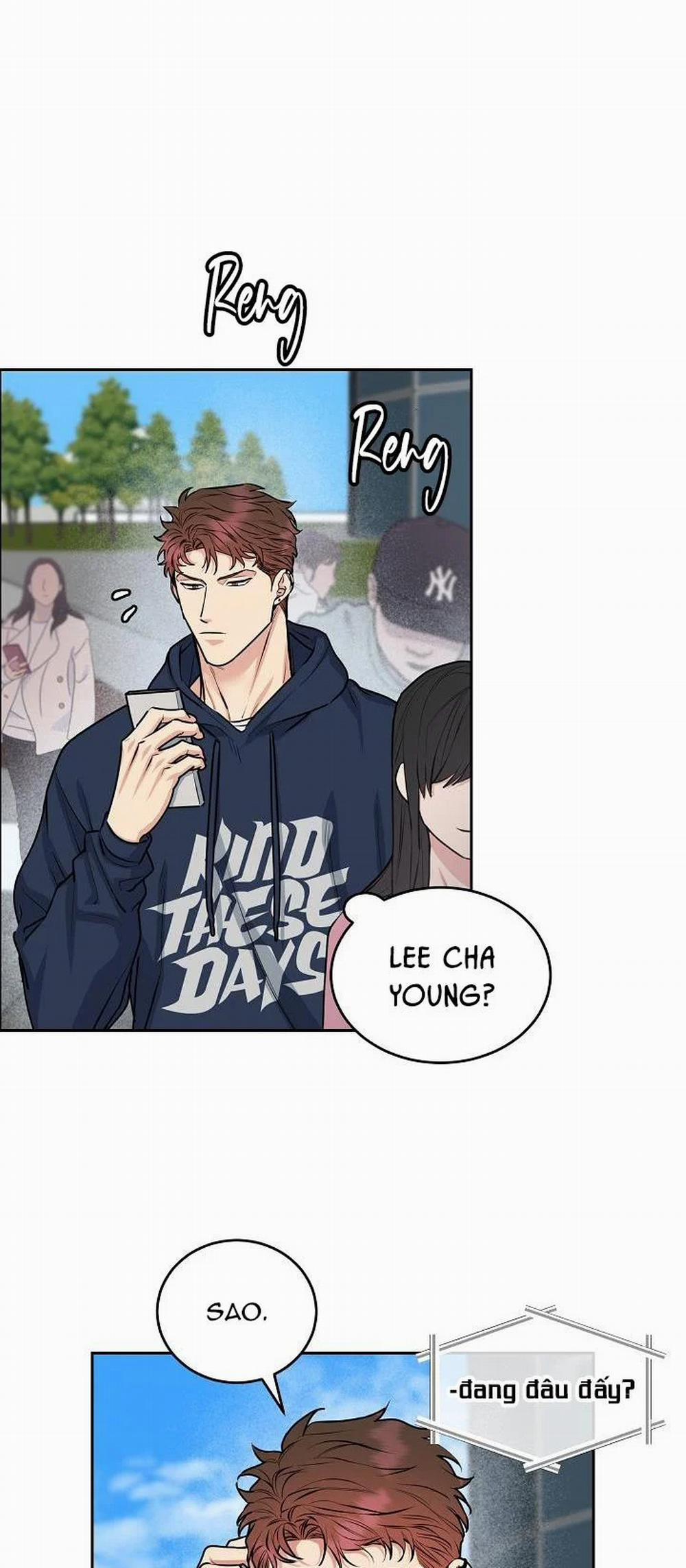 Chó Và Chim 11 trang 33