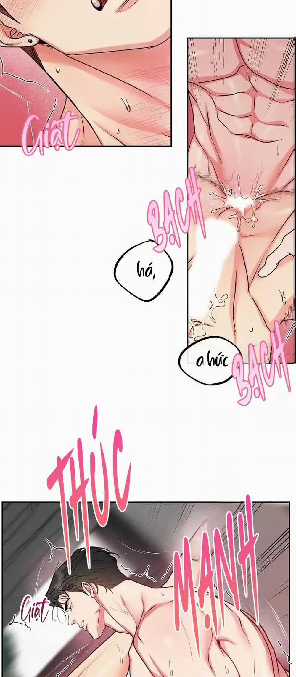 Chó Và Chim 11 trang 4