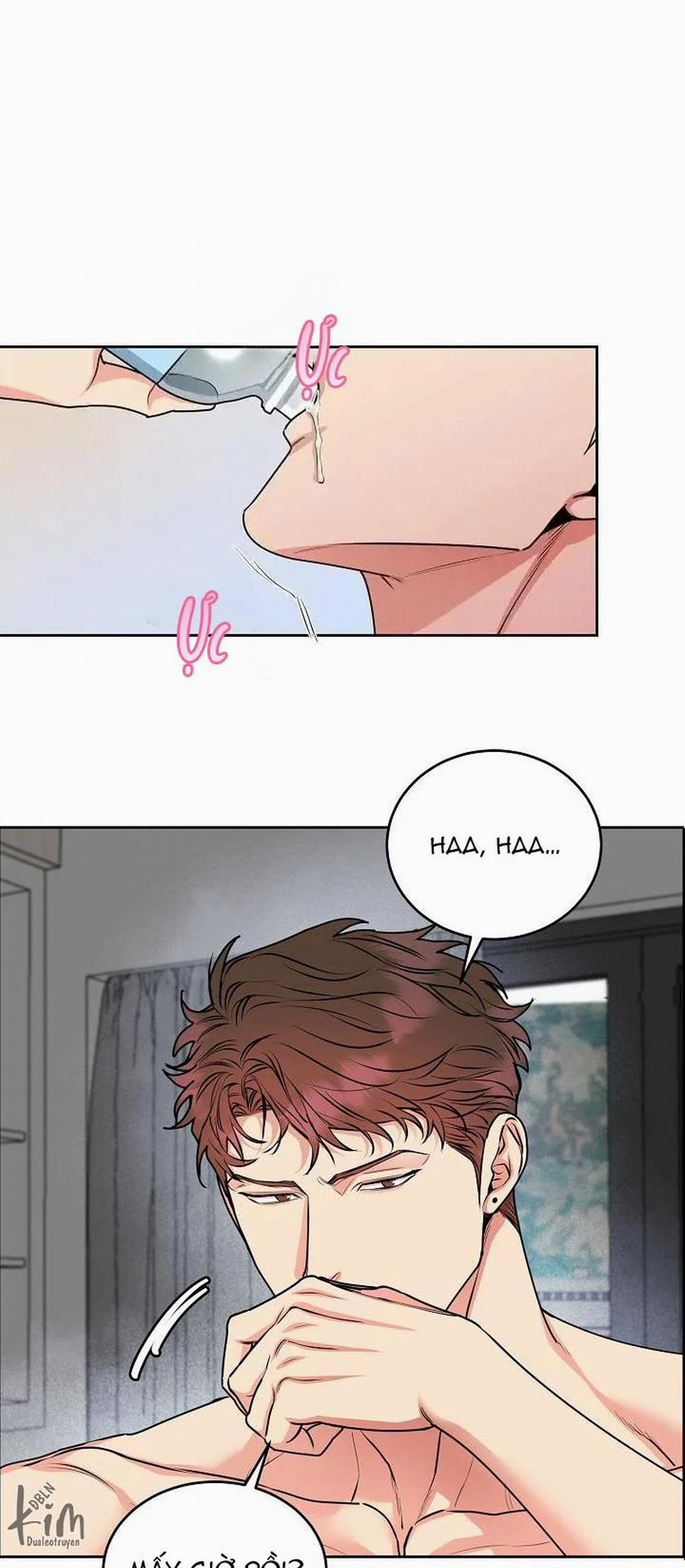 Chó Và Chim 11 trang 6